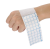 2979