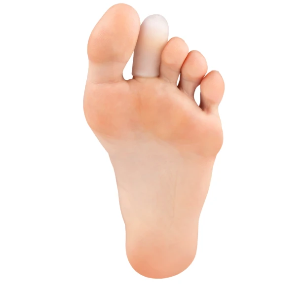 1279