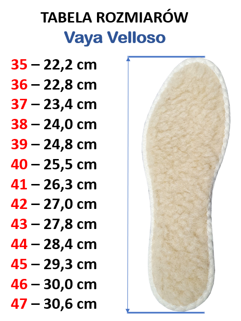 2658