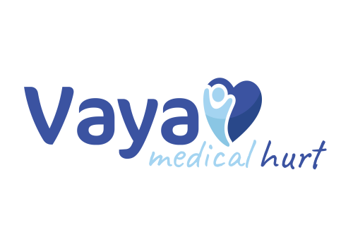 Vaya Logo - strona główna